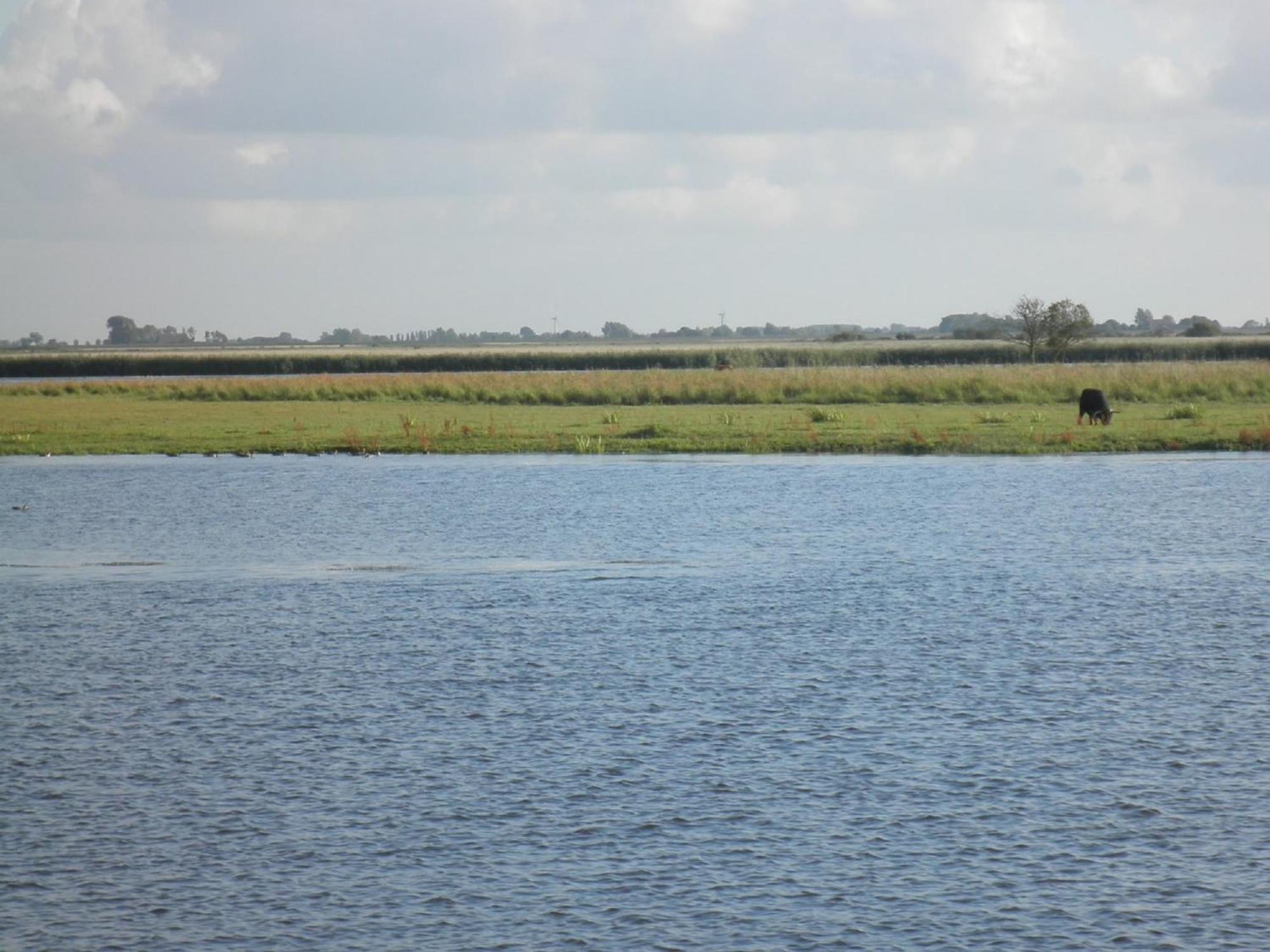 8 Pers House 'Capitein Theis' With Seaside In Front Of The Lauwersmeer Anjum Kültér fotó
